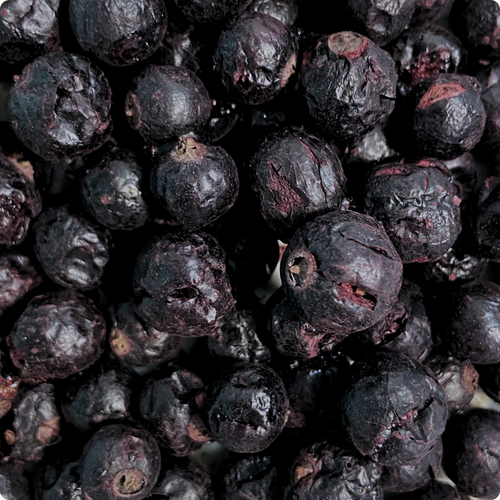 BOX DI 12 SNACK DI MIRTILLI LIOFILIZZATI