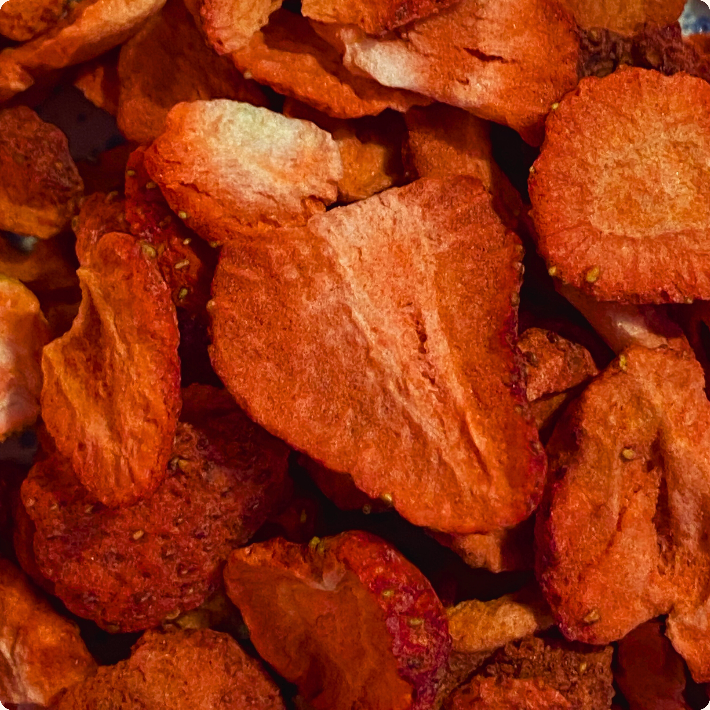 BOX DI 12 SNACK FRAGOLA LIOFILIZZATA