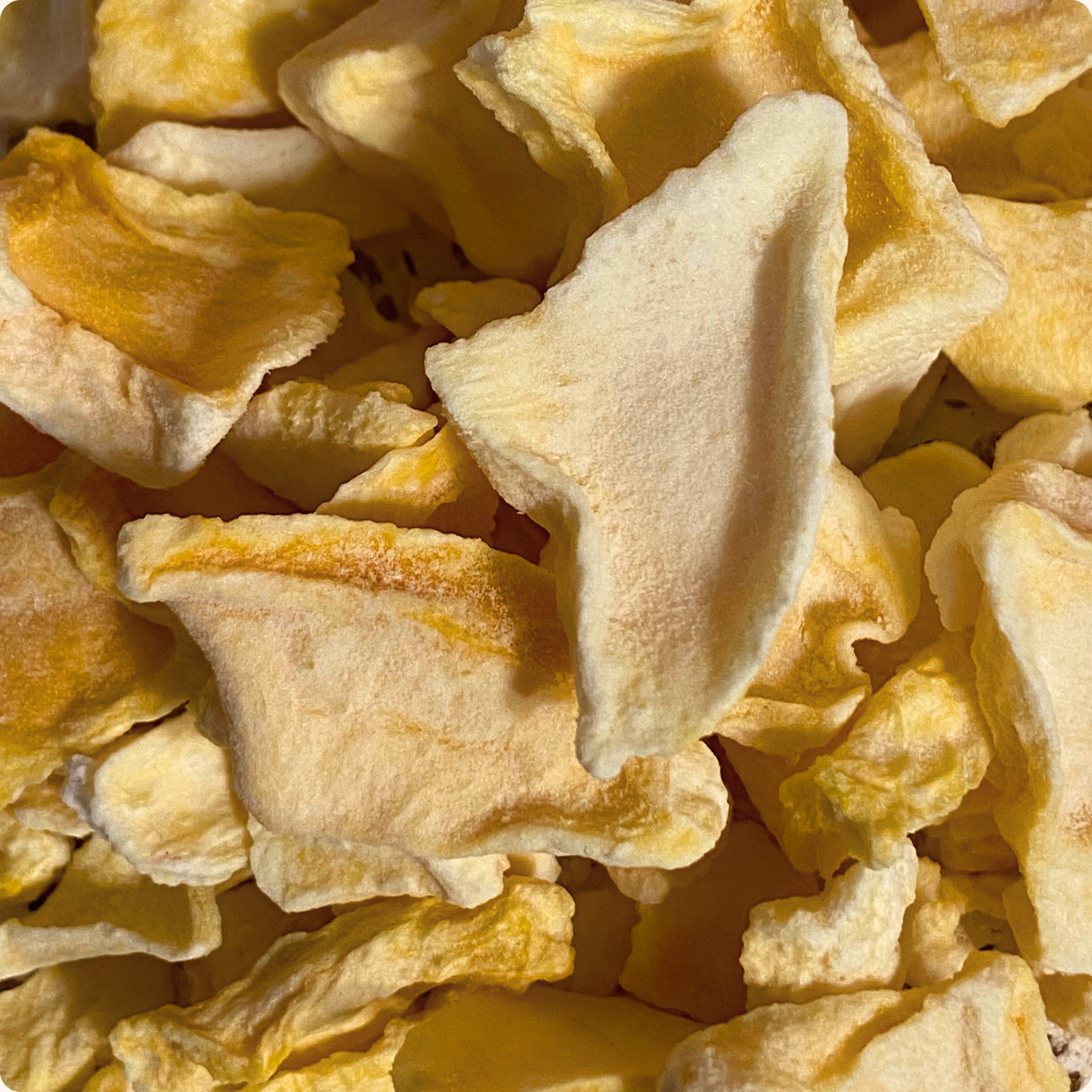 BOX DI 12 SNACK MANGO LIOFILIZZATO